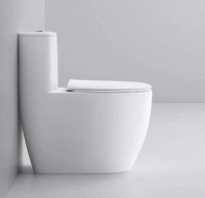 WC Sanitaire Domestique à Double Chasse d'Eau en Céramique à Faible Bruit avec Siphon en S pour Intérieur - Product Image 1