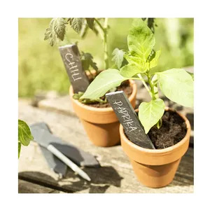 Étiquettes d'<span class=keywords><strong>ardoise</strong></span> de différents modèles Petites étiquettes de plantes de <span class=keywords><strong>jardin</strong></span> noires comme ornements de <span class=keywords><strong>jardin</strong></span> souvenir - Product Image 1
