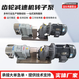 Weijian Gear Reducer Rotor <b>Pump</b> Stainless Steel High Viscosity Sauce <b>Sludge</b> Conveying <b>Pump</b> Electric Drive - Product Image 3
