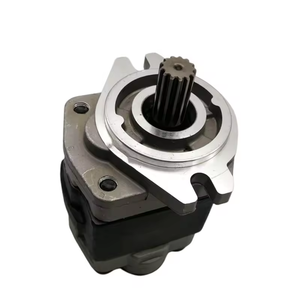 Bomba de Aceite Hidráulica GANGLI de Calidad de Fábrica SGP SGP2A30L723 SGP2A52L723 SGP1A31 9L438 Engranaje 0.5 HP 100 Bar 1/4 Pulgada - Product Image 4