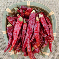 Vente de gros Piment rouge de Cayenne séché entier naturel pour la cuisine