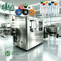 ASL BELGISI Machine de marquage laser à double tête 30W pour codes uniques sur bouchons de bouteilles, idéale pour les lignes de production de mise en bouteille d'eau en série