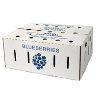 Cajas de Papel para Avión, Libros, Revistas y Paquetes de Envío, Personalizadas, con Laminado Brillante, Biodegradables y Hechas con Materiales Reciclados