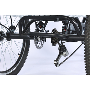 <span class=keywords><strong>Tricycle</strong></span> électrique à cadre en aluminium de 24 pouces 350W, trike cargo <span class=keywords><strong>pour</strong></span> adultes avec frein à disque et panier avant, trike électrique - Product Image 4