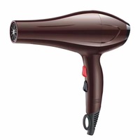 Sèche-cheveux professionnel portable sans fil pour la maison, mini moteur 2400w, brosse à peigne inversée, 110v 220v, électrique, plastique
