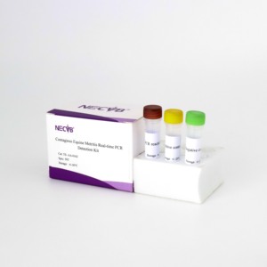 50t מדבק equine דלקת cem ערכת פלורסנט pr-20 ℃ אחסון וטרינרי - Product Image 4