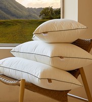 Oreillers de lit en duvet de plumes d'oie, taille Queen et King, lot de 2, oreillers d'hôtel, anti-déchirure, doux et moelleux, enveloppe 100% coton