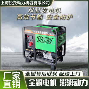 Générateur diesel Ruizi 12KW 230V 50Hz avec régulation automatique de tension, portable, mobile, sur remorque, démarrage électrique - Product Image 3