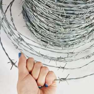 Les murs et les clôtures sont densément équipés de barrières continues en hauteur et ont passé avec succès les tests anti-escalade officiels. - Product Image 3