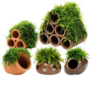 Maceta de terracota transfronteriza para <span class=keywords><strong>acuario</strong></span>, decoración para paisajismo de plantas acuáticas, escondite decorativo para camarones, refugio para cría de peces pequeños - Product Image 1