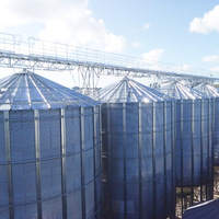 Silos en acier galvanisé pour le stockage du grain de blé et du maïs à vendre