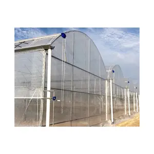 Película de agricultura automatizada para la construcción de cultivos comerciales, tomate controlado por el clima, otros invernaderos