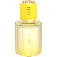 Diffuseur de parfum pour voiture 120 ml, parfum longue durée, éliminateur d'odeurs, parfum d'intérieur automobile, logo personnalisé OEM