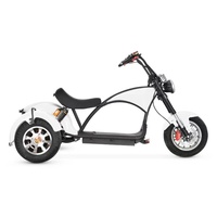 Scooter électrique à gros pneus, moteur 4000W, 60V, Citycoco, scooter électrique à 3 roues, scooters électriques puissants