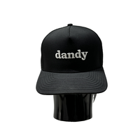 Gorra de Béisbol con Bordado 3D Personalizado, Visera Degradada, Suministro de Fábrica, Multicolor, Ajustable, con Logotipo Personalizado, para Uso Casual
