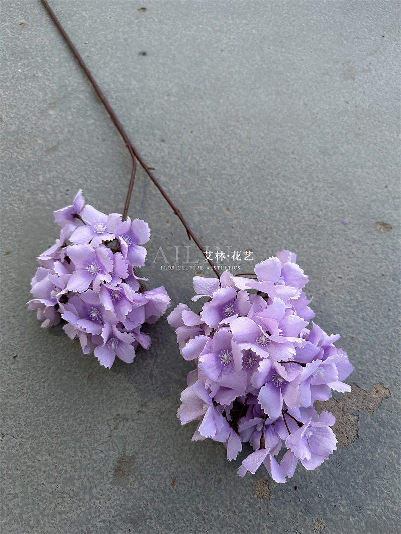 2เจดีย์ไฮเดรนเยีย