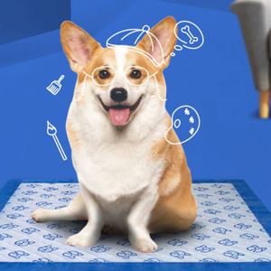 Meilleures ventes 2024 : Coussinets jetables pour chiots en tissu non tissé, couches pour animaux de compagnie en gros pour chiens avec livraison gratuite - Product Image 1