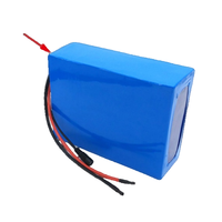 بطارية ليثيوم li-ion LiFePO4 مع مصباح شمسي مخصص ، بطارية 12V 24V 36V 48V 2Ah-150Ah لأضواء الشوارع بالطاقة الشمسية