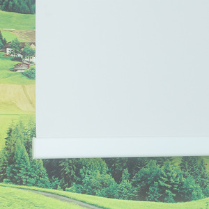Ofis Karartma Perdeleri Ev Stor Perdeleri-Cam Elyafı Modern Minimalist Tarz Isı Yalıtımlı Özelleştirilebilir Logolu Gölgelikler - Product Image 5