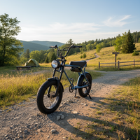 Vélo électrique MD Streetbike 50KM/H, double moteur, 10Ah, frein à disque hydraulique, batterie intégrée, pneus larges, 48V