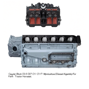 Bloc-cylindres C0.5 C0.7 C1.1 C1.71 pour moteur diesel agricole, assemblage pour tracteur agricole et moissonneuse-batteuse - Product Image 1