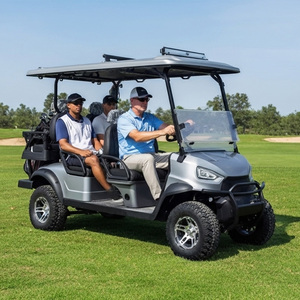 Voiturette de <span class=keywords><strong>golf</strong></span> électrique Holladay en acier 3-4 places, moteur puissant 60V, sur mesure, 3500W, certifiée CE, avec pare-soleil - Product Image 4