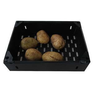 Folding Corrugated Plastic Reusable Box Corflute Plastic Asparagus Packing Box Plastic Corrugated Vegetable Boxes