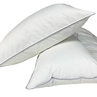 Almohada de Plumas de Ganso y Pato, Personalizada en Todos los Tamaños, con Tela de Algodón para Sofá