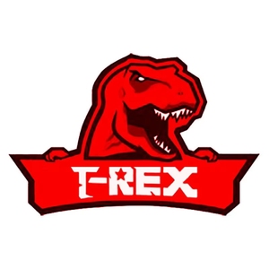 TERX - Échantillon Gratuit - Fabricant de Boîtiers TV - Meilleur Serveur Internet Intelligent OTT 4K au Monde - Boîtier Android - Ensemble de Test - Décodeur - Product Image 2