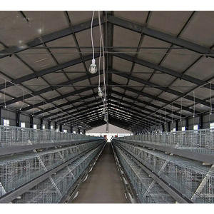 מבנה פלדה מודרני בניין בית עוף בעיצוב מסורתי בית עוף לחווה בטיחות יציבות בחוות עופות - Product Image 6