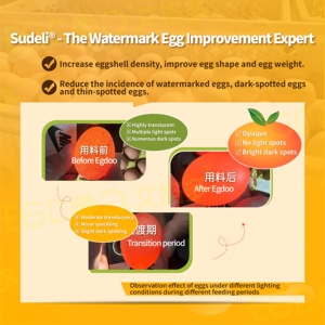 Veja la Diferencia en la Calidad de las Huevos con Nuestros Poderosos Aditivos para Alimento de Pollo EGDOO al 0.2% con <span class=keywords><strong>Amino</strong></span>ácidos de Grado Alimenticio para Gallinas Ponedoras - Product Image 3