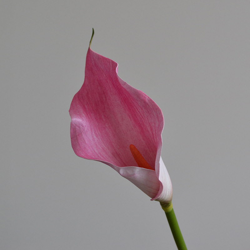 MIX--#6