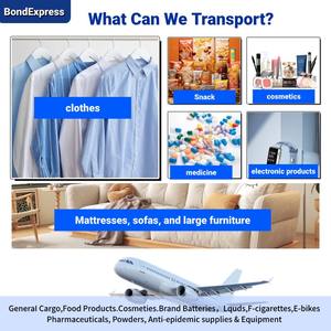 Luftfracht Seefracht Spediteur China nach Kanada USA UK Australien Weltweit Tür zu Tür Ddp Versand - Product Image 4