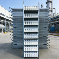 Échelle de chantier perforée en acier galvanisé robuste, directement de l'usine, réductions en gros pour projets personnalisés