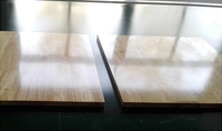 Machine de revêtement par peinture UV et à base d'eau pour panneaux MDF, pour un traitement de surface durable