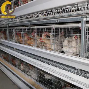 Jinmuren-jaula de 120 de capacidad para pollo, jaula para aves de corral en Dubái