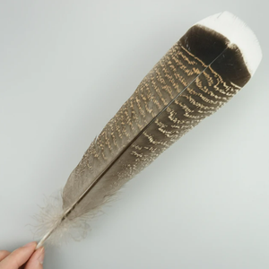 HP-69 Plumage de <span class=keywords><strong>faisan</strong></span> à col rond brun Nat.1.5-2in 3G Plume de <span class=keywords><strong>faisan</strong></span> - Product Image 4