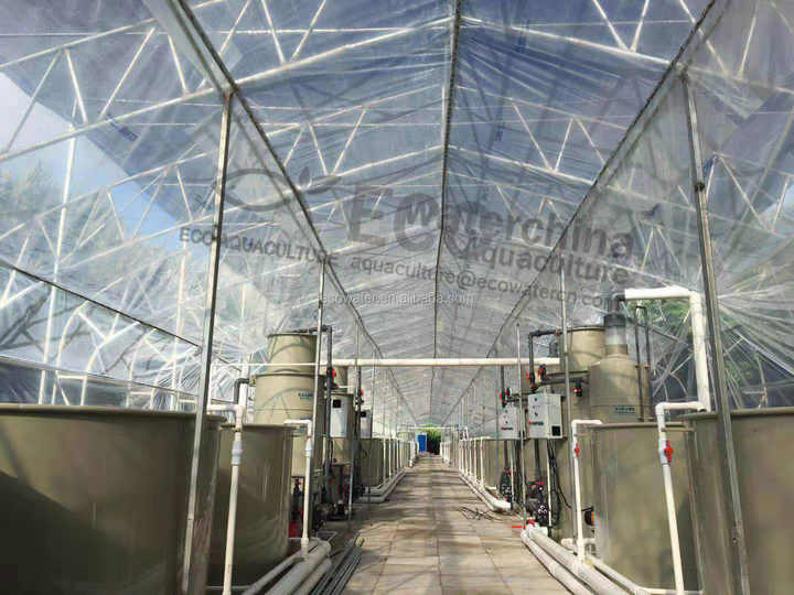 Ras System Aquaculture Pond Ras Farming System, Aquaculture Shrimp ...