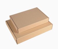 Emballage avec plateau intérieur, boîte de raquette de padel, coffret cadeau, boîte aux lettres, carton ondulé, dossiers, recyclable, gaufrage