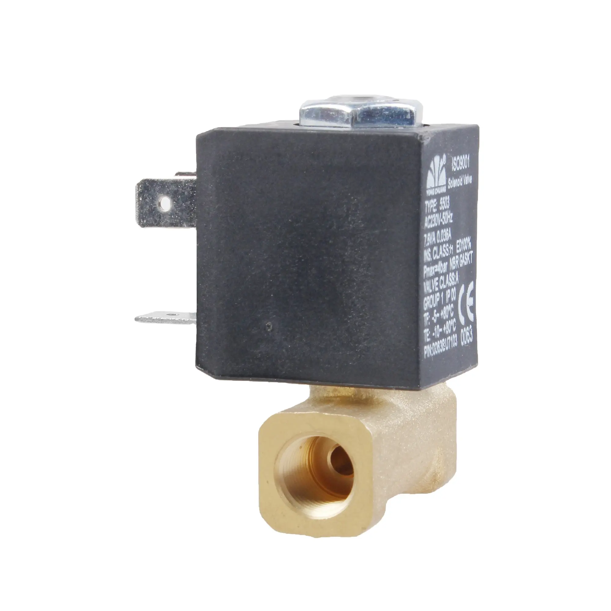 Yongchuang 5503 a solenoide macchina da stiro a vapore in ottone a montaggio rapido