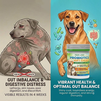 Probiotiques et prébiotiques pour animaux de compagnie, granulés moelleux à mâcher pour chats et chiens, complément nutritionnel pour la santé digestive et immunitaire, OEM personnalisé