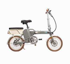 Système de batterie 300W pour vélo et trottinette électrique GC-RMZ-100 - Product Image 5