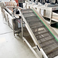 Xu Industriële Zeevruchten Garnalen Plc Motor Pomp Motor Luchtbel Wasmachine Mossel Slak Oester Schoonmaken Fruit Groente