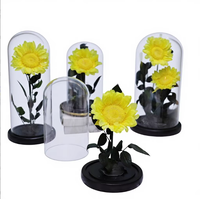 ACTIVELOVE2026 Tournesol Préservé sous Cloche en Verre, Décoration LED Longue Durée (3-5 Ans) pour Anniversaire, Fête des Mères, Saint-Valentin