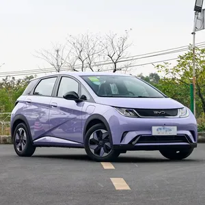 Rokay BYD gabbiano Taro fango viola auto usate nuovo veicolo di energia dalla cina di seconda mano prezzi a buon mercato ad alta velocità