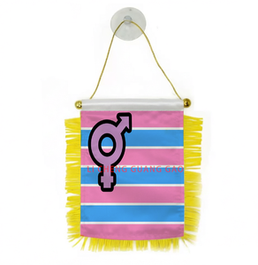 Meistverkaufte Maßgefertigte Trans-Alli Mini-Flaggen LGBT-Themen Regenbogen-Serie Aufhängbar mit Saugnapf Auto- und Wanddekoration Flaggen - Product Image 3