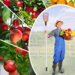 Outils de cueillette pour ferme, jardin et verger : cueilleur manuel robuste pour pommes, oranges, châtaignes, citrons, poires, mangues – Panier de cueillette - Product Image 2