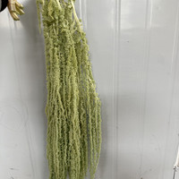 Lot de 10 bouquets de fleurs séchées d'amarante préservées en gros – Fleurs éternelles suspendues pour décoration de mariage