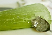 POLVO DE ALOE VERA ORGANICO Y NATURAL DE NUEVA CULTIVA CON PRECIO COMPETITIVO