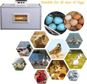 Incubadora Doméstica al por Mayor, Totalmente Automática, Inteligente en Chino e Inglés, para Pollitos Grandes, con Temperatura Constante - Product Image 2